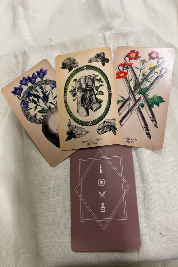 The Antique Anatomy Tarot