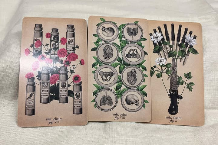 The Antique Anatomy Tarot