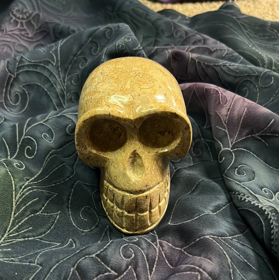 Picture Jasper Skull