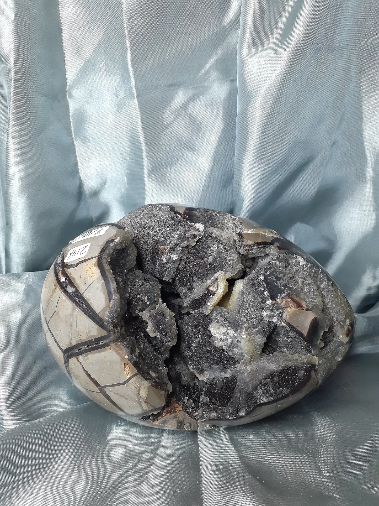 Septarian Egg