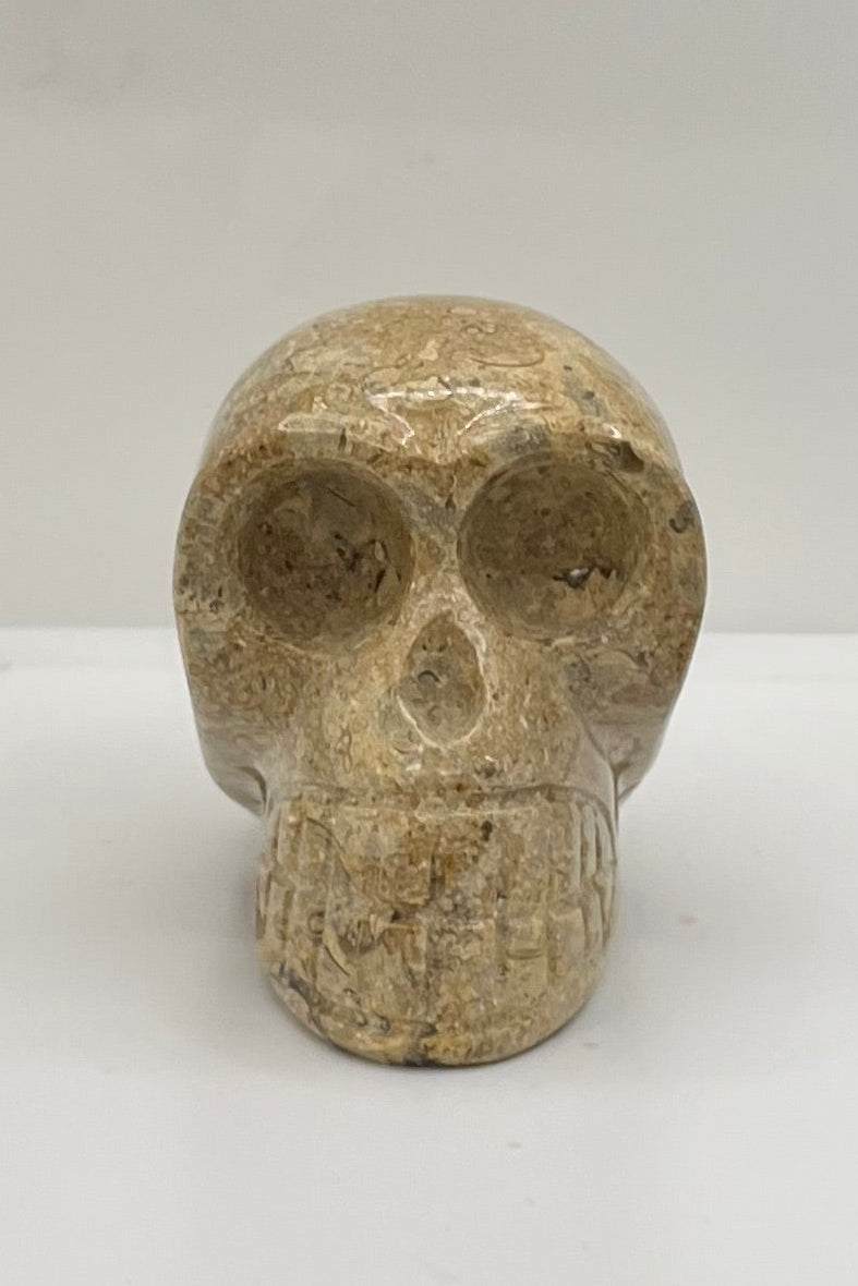 Picture Jasper Skull