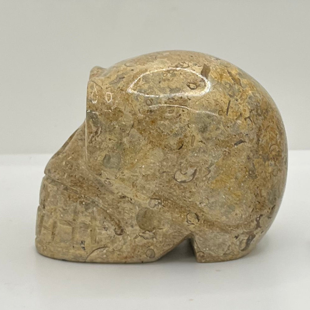 Side view of a picture jasper stone skull