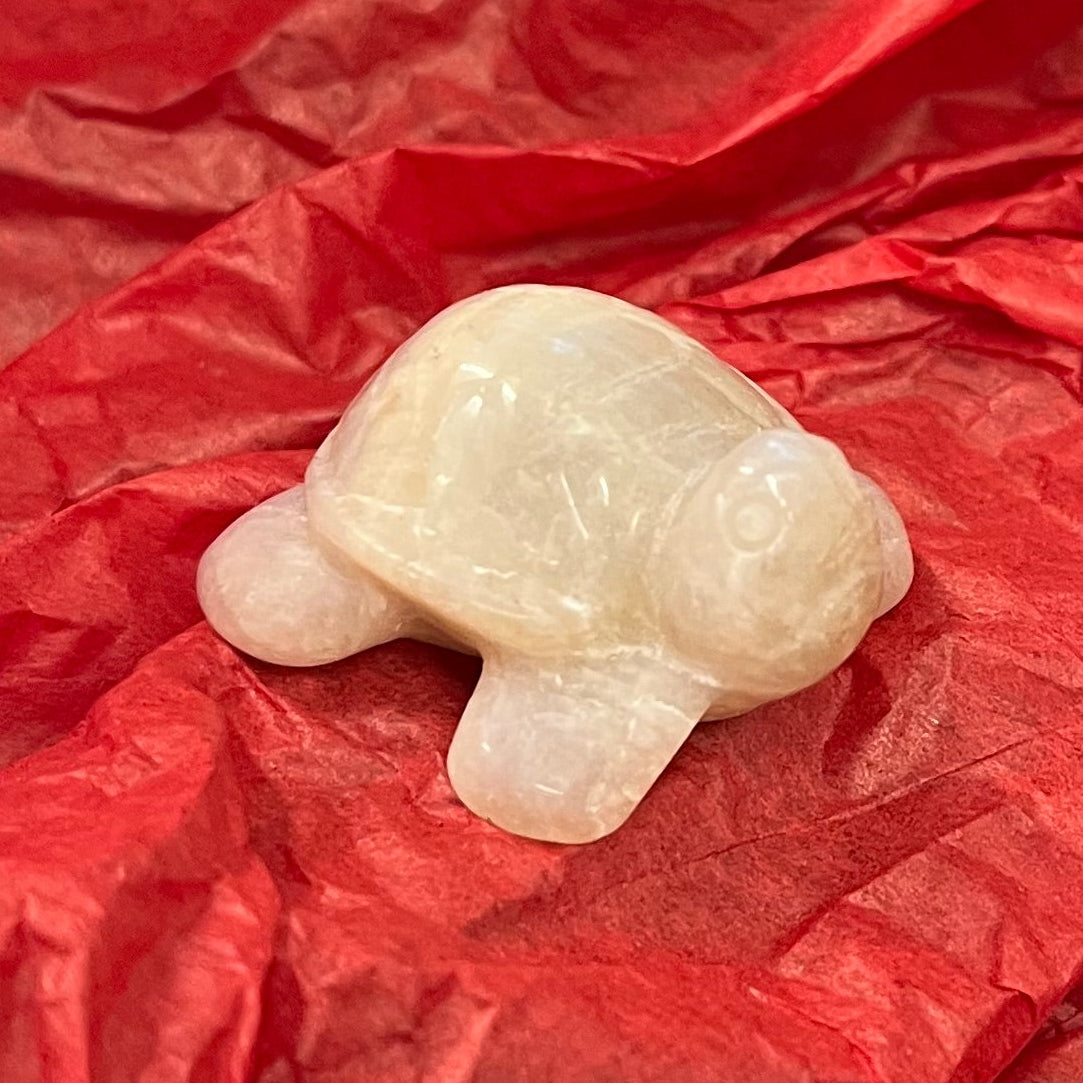 A small cream moonstone turtle figurine placed in the center of crumpled red tissue paper.