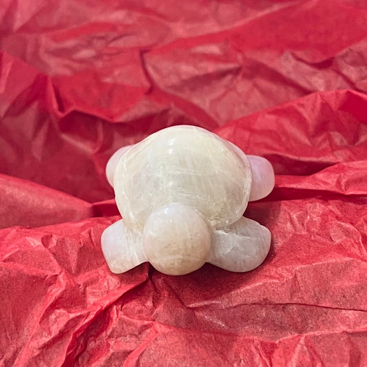 A small cream moonstone turtle figurine placed in the center of crumpled red tissue paper.