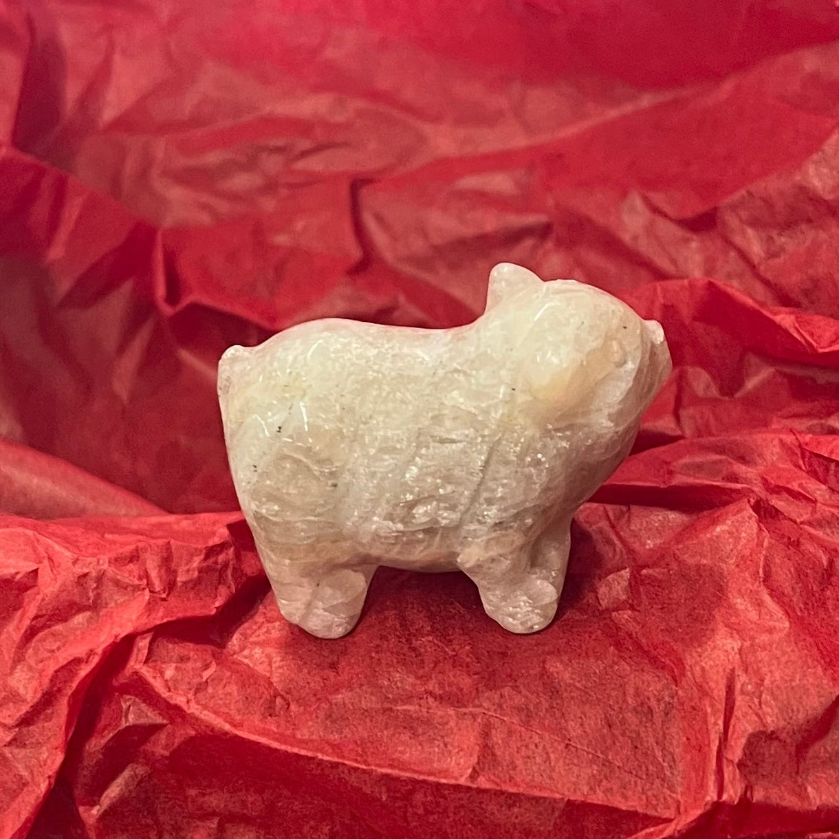 A small, beige figurine of a pig resting on crumpled red tissue paper.  This is a side view and his tail is visible.