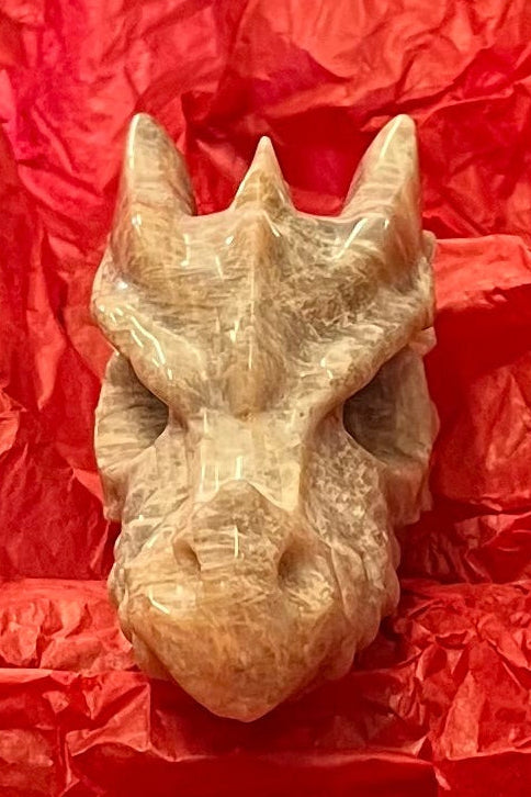 A carved dragon head from moonstone, a beige slightly iridescent stone. This is the front view.