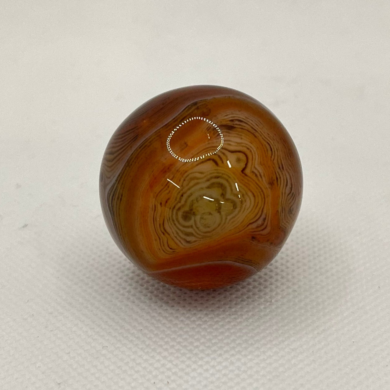 Redish-Brown glossy sphere with bands of white and tan on a textured white surface