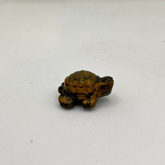 Slightly irridescent brown and dark brown/black turtle from the side view.