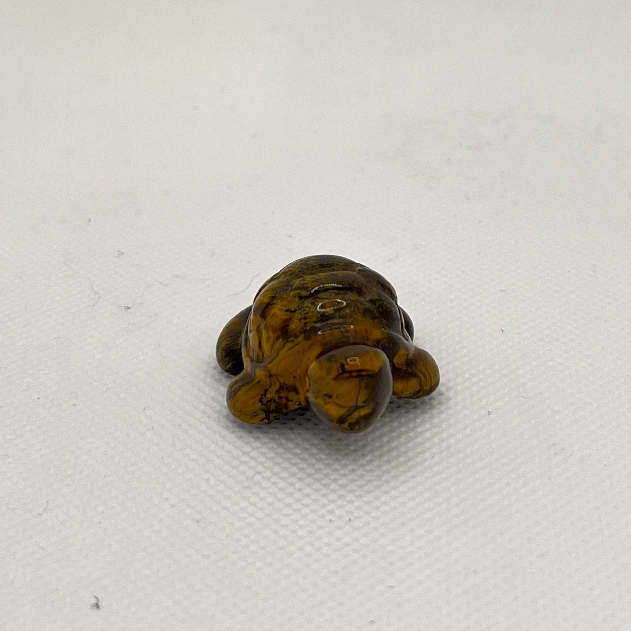 Brown glossy slightly irridescent turtle with darker brown arbling. 