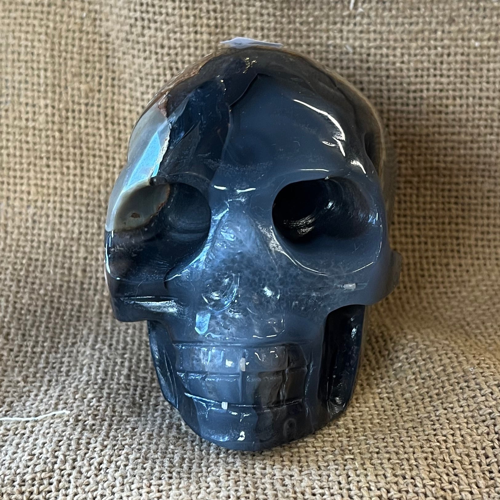 Blue and dark gray semi-opaque crystal skull on a tan textured background.
