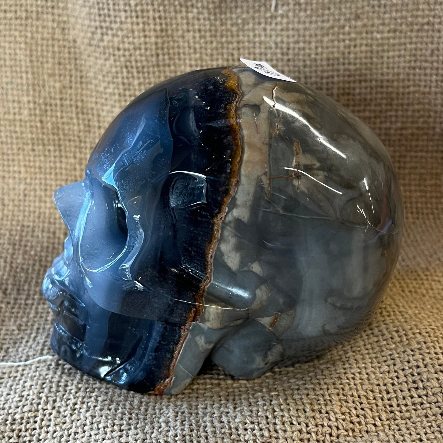 Blue and dark gray semi-opaque crystal skull on a tan textured background. As one looks from the front of the skull to the back, there are layers of light and dark blue, brown, and then white and light blue. 